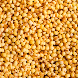 "sorghum (jwar) – gluten-free, high-fiber, and rich in iron for healthy cooking and baking needs"