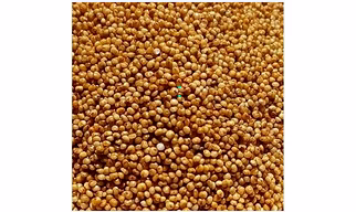 Kodo Millet