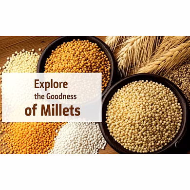 Ragi (Finger Millet)-2