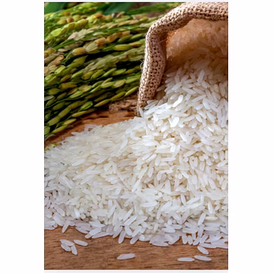 Basmati (Long grain)-12785203