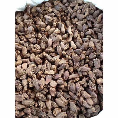 Big cardamom-12786127