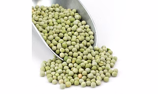 Green Pea (Lila Vatana)