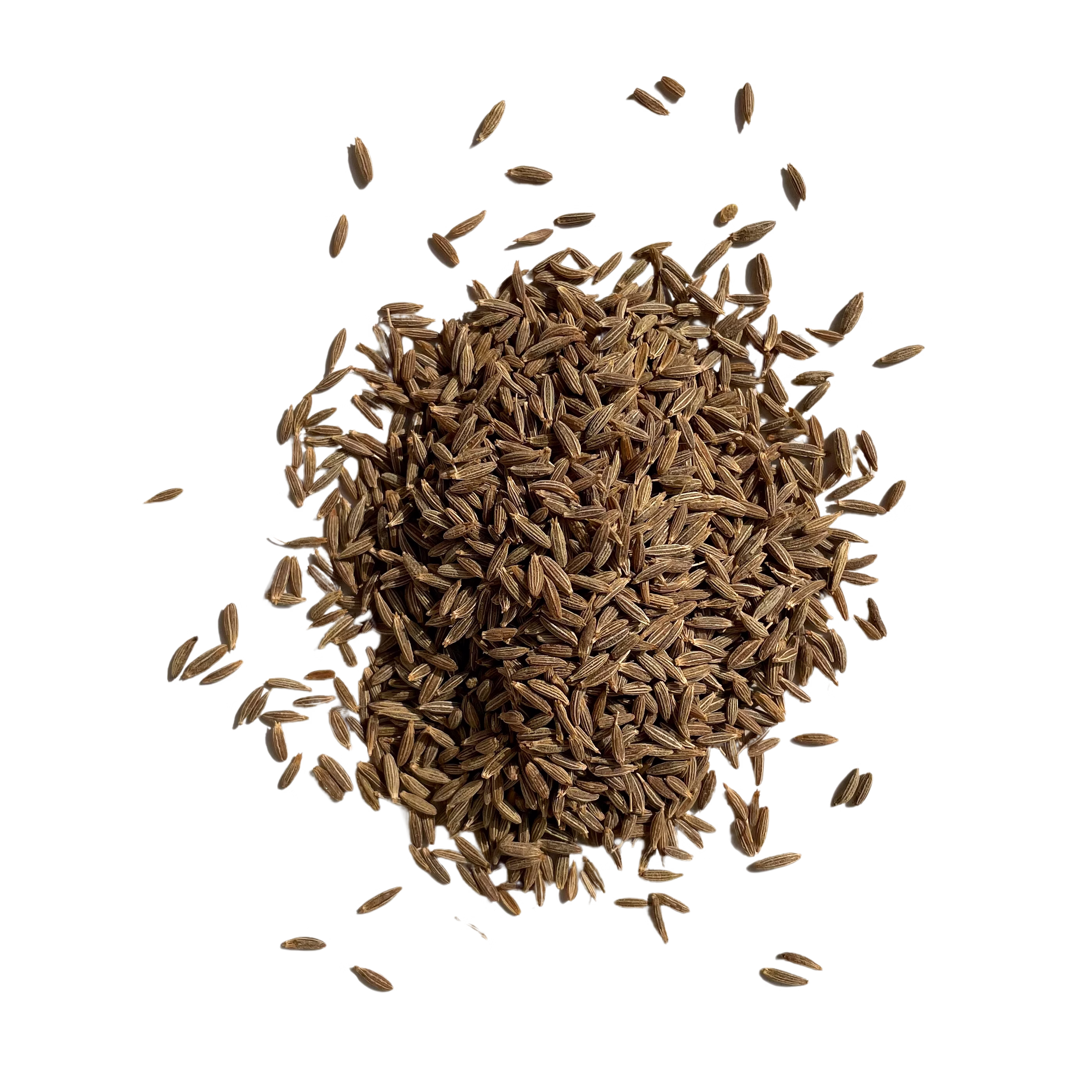Cumin Singapore 99 image 2