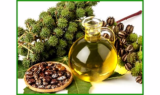 Castor Oil FSG