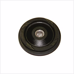 roller cam chain guide