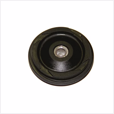 roller cam chain guide