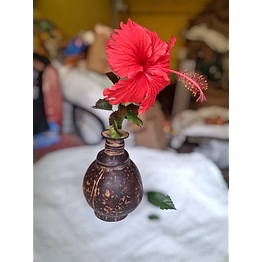 coconut shell flower vase