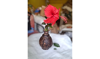 Coconut Shell Flower Vase
