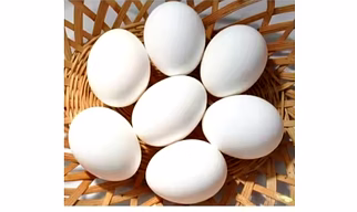 Fresh White Eggs