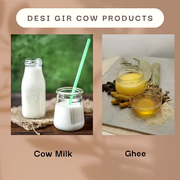gir cow ghee