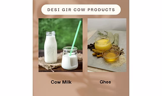 GIR COW GHEE