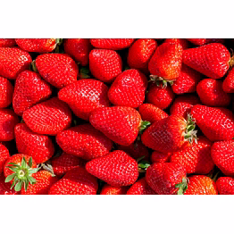 strawberry