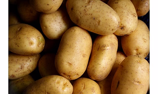 Potatoes