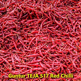 hisako indian dry red chillies – teja s17 – whole spices for b2b wholesale, import, and distribution supply