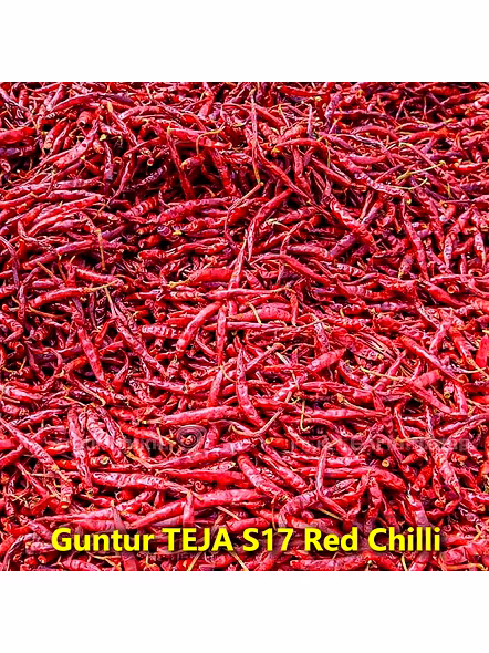 Indian Dry Red Chillies – Teja S17