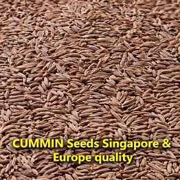 hisako cumin seeds (singapore and europe quality) – whole spices for b2b wholesale, import, and distribution supply