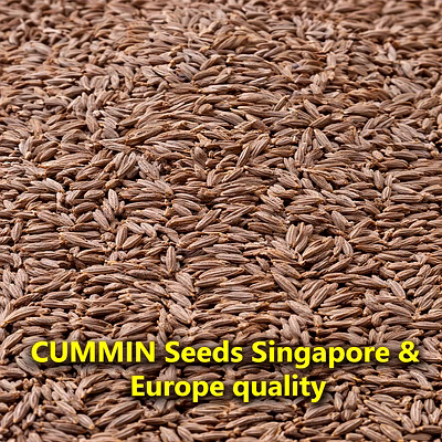 hisako cumin seeds (singapore and europe quality) – whole spices for b2b wholesale, import, and distribution supply