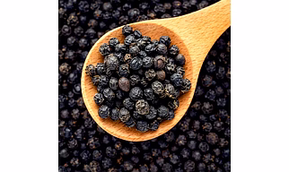 Black Pepper – Whole Spices For B2B Wholesale, Import, and Distribution Supply