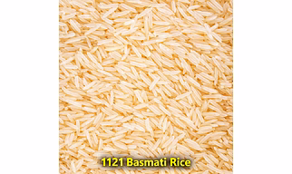 1121 Basmati Rice – Rice For B2B Wholesale, Import, and Distribution Supply