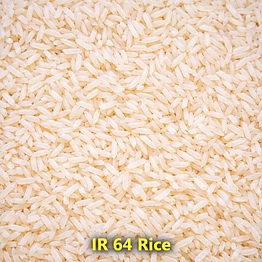 hisako ir 64 rice – rice for b2b wholesale, import, and distribution supply | procurement-ready naming
