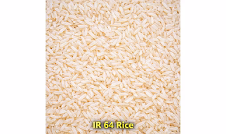 Ir 64 Rice – Rice For B2B Wholesale, Import, and Distribution Supply | Procurement-Ready Naming