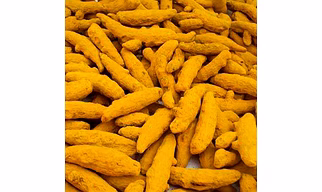 Indian Turmeric – Whole Spices For B2B Wholesale, Import, and Distribution Supply