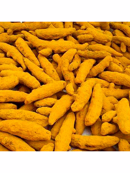 Indian Turmeric