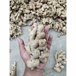 fresh ginger