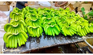 Bananas
