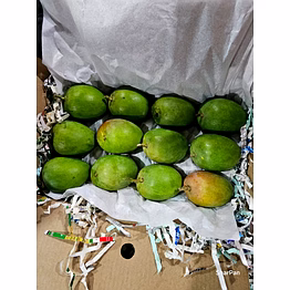 mango