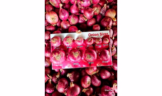 Red Onion