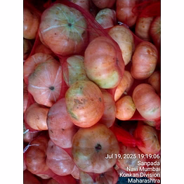 red pumpkin
