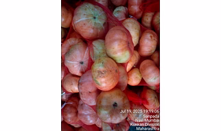 Red Pumpkin