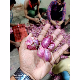 small onion (sambar onions)