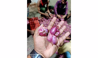 Small Onion (Sambar Onions)