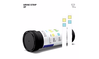 Labgene 2P Urinalysis Strips (Glucose & Protein) | 100 Strips/Bottle