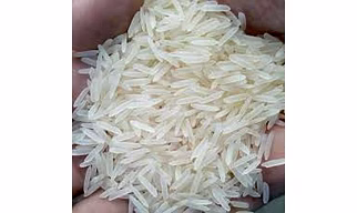basamati rice 1121