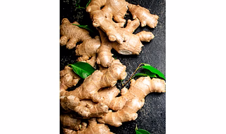 Ginger