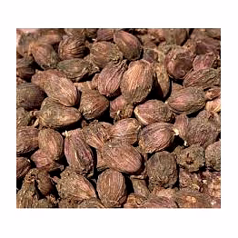 black cardamom