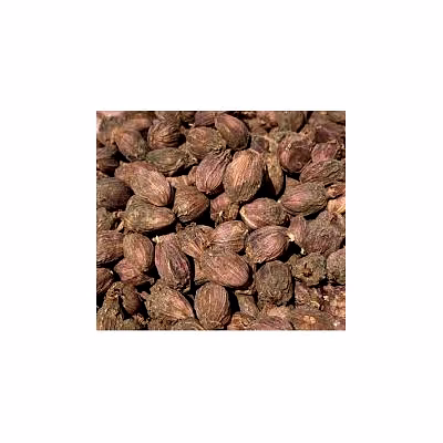 black cardamom
