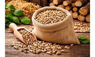 biomass pellets 10mm size