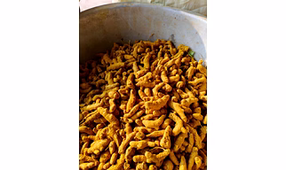TURMERIC FINGER