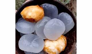 Ice Apple