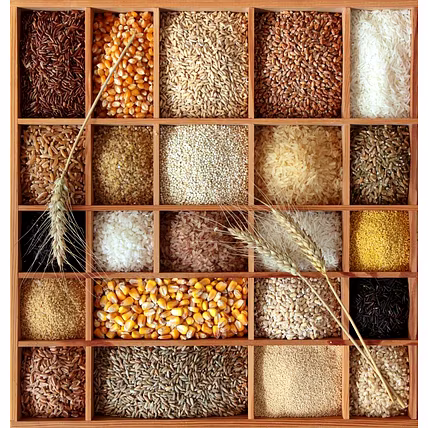 Rice &amp; Grains-12754257