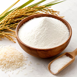 orbifusion rice maltodextrin powder from rice starch for food, beverage, nutraceutical and sports nutrition use