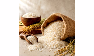 Ajara Ghansal Rice From Maharashtra In Medium Or Short Grain For Bulk And Retail Supply