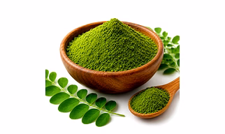 Dehydrated Moringa Powder Fine Green 80–100 Mesh Nutraceutical Ingredient For Health And Food Applications