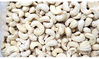 Cashew nuts all grade available