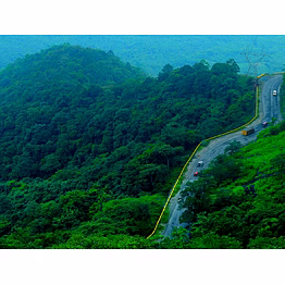 wayanad tour packages