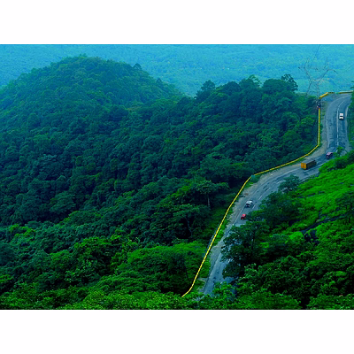 wayanad tour packages